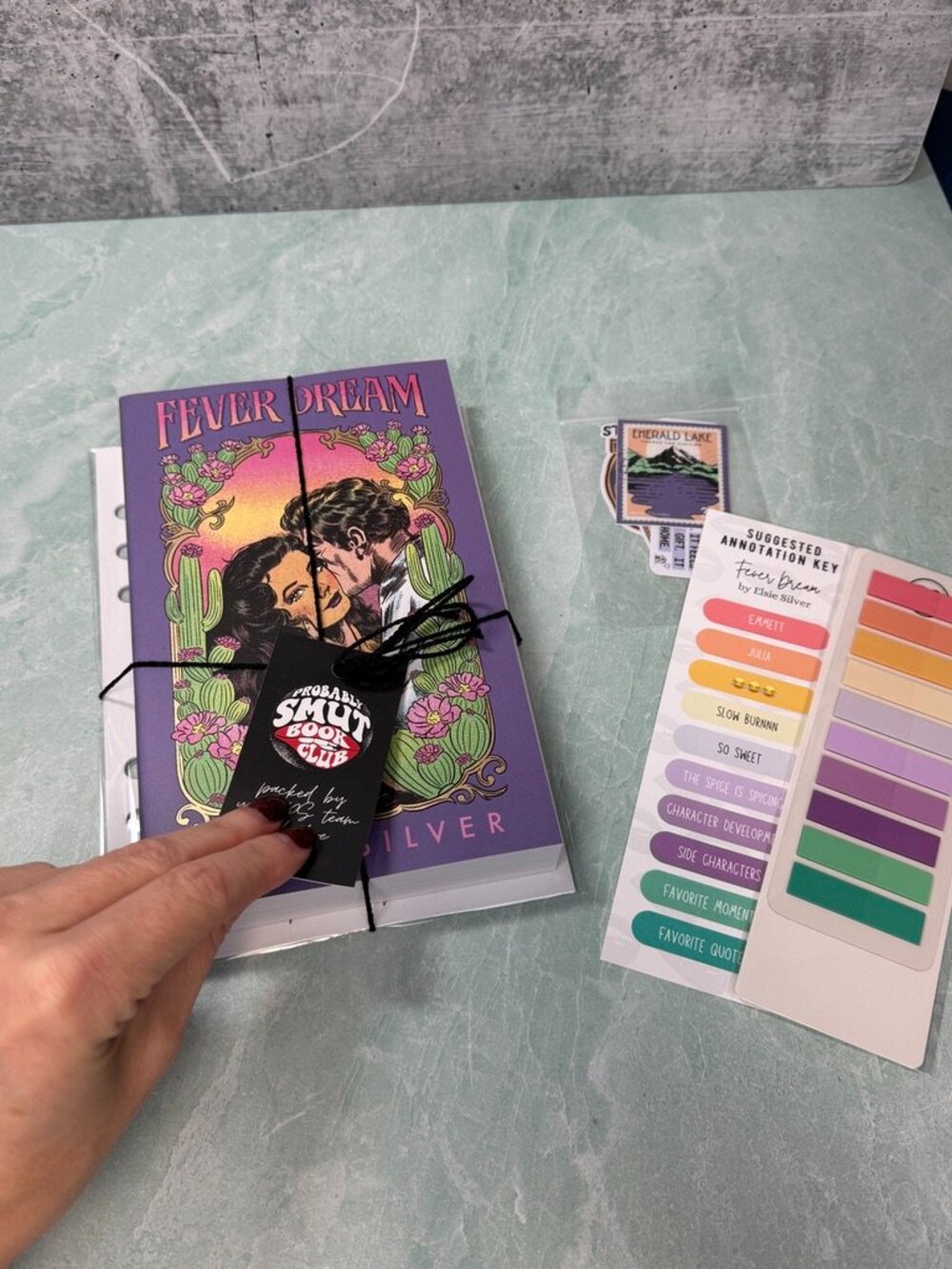 Probably Smut Fever Dream by Elsie Silver Special Edition NEW